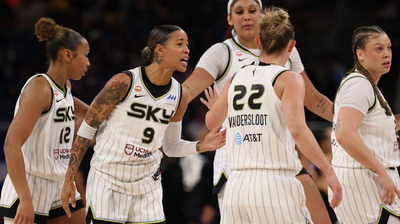 【篮球】WNBA比赛中出现性toy被扔进球场，球员和教练表达不满