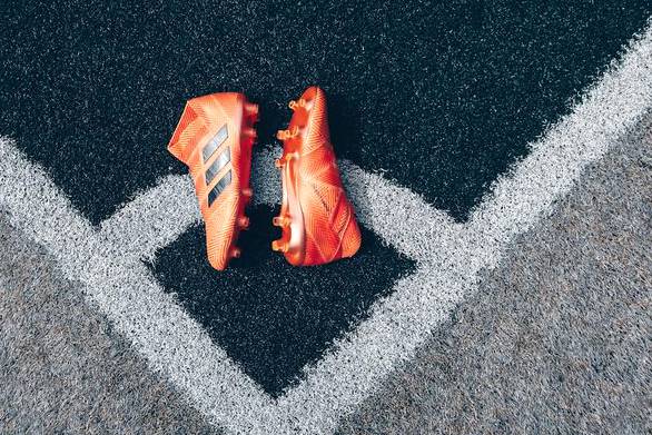 精英31 vs AFC 34 赛前分析 · 荷兰杯