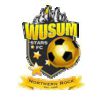 【足球】乌苏姆之星 vs 巴塔尔FC 复盘：乌苏姆之星 2-1 巴塔尔FC，赛果主