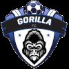 大猩猩FC vs 阿尔马里克 赛后战报 · 卢旺达联