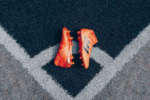 内皮尔市流浪 vs 佩托内 赛后战报 · 新西中联