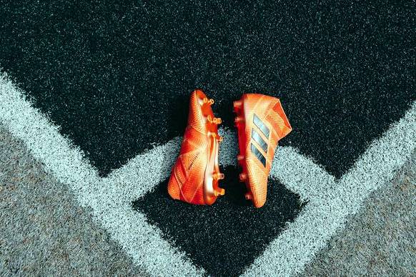 蒂米什瓦拉 vs 辛迪泰哥维斯特 赛后战报 · 罗乙